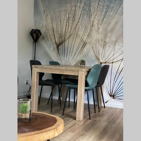 Modern Rustgevend In 131 Chalet *